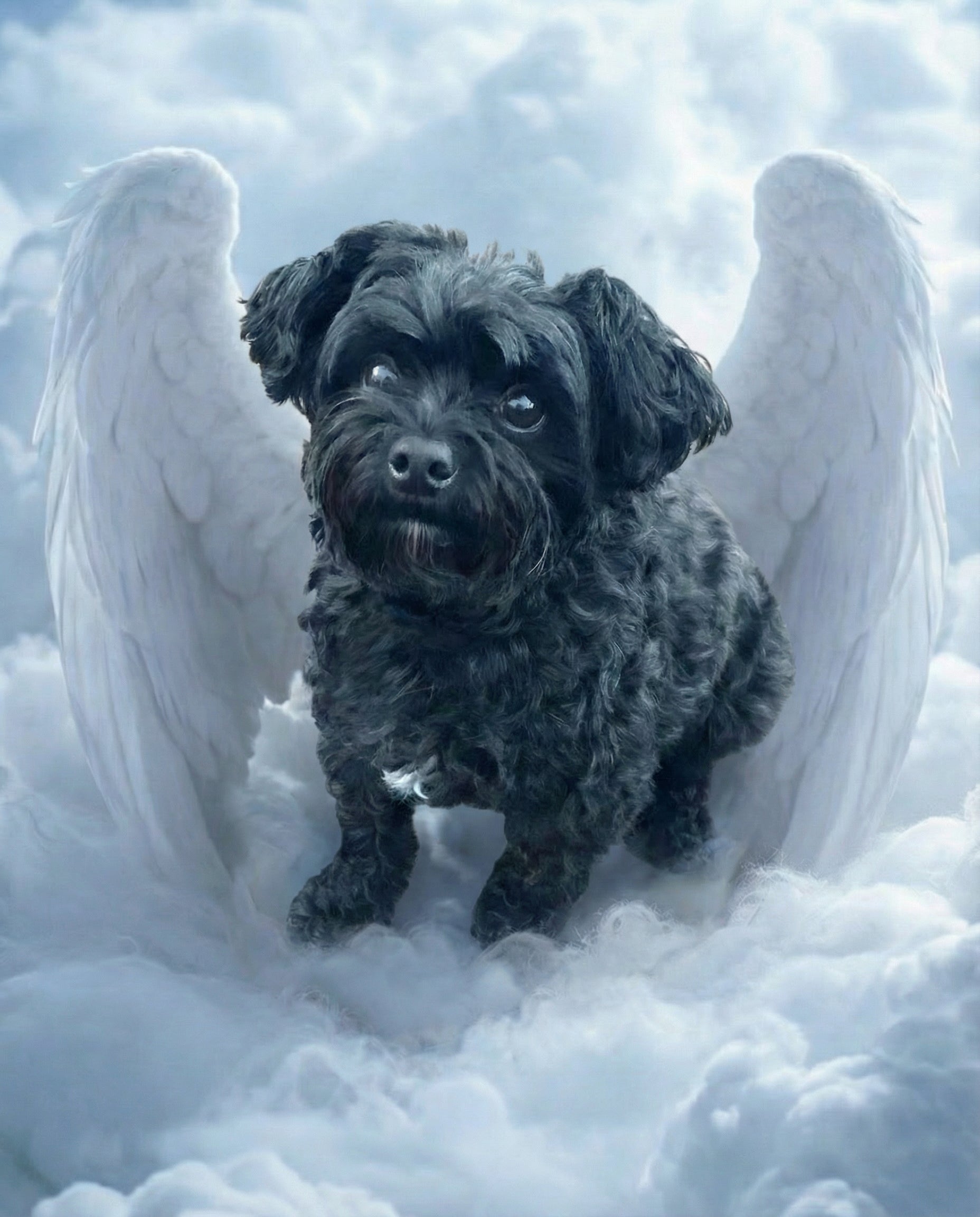 Your Custom Pet Art Kit