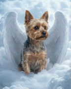 Your Custom Pet Art Kit