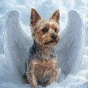 Your Custom Pet Art Kit