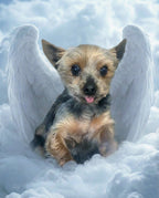 Your Custom Pet Art Kit