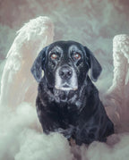 Your Custom Pet Art Kit