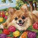 Your Custom Pet Art Kit