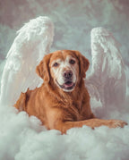Your Custom Pet Art Kit