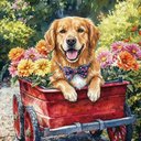 Your Custom Pet Art Kit