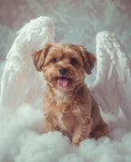 Your Custom Pet Art Kit
