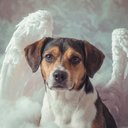 Your Custom Pet Art Kit