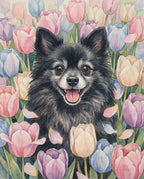 Your Custom Pet Art Kit