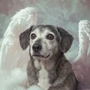 Your Custom Pet Art Kit