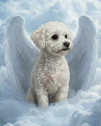 Your Custom Pet Art Kit