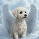 Your Custom Pet Art Kit