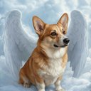 Your Custom Pet Art Kit