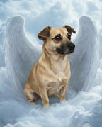 Your Custom Pet Art Kit