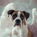 Your Custom Pet Art Kit