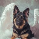 Your Custom Pet Art Kit