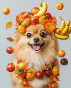 Your Custom Pet Art Kit
