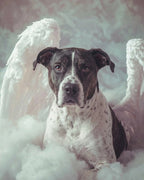 Your Custom Pet Art Kit