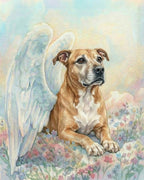 Your Custom Pet Art Kit