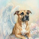 Your Custom Pet Art Kit
