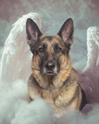 Your Custom Pet Art Kit