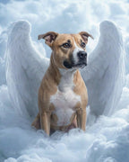 Your Custom Pet Art Kit