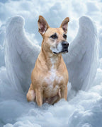 Your Custom Pet Art Kit