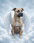 Your Custom Pet Art Kit