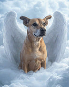 Your Custom Pet Art Kit
