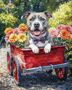 Your Custom Pet Art Kit