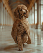 Your Custom Pet Art Kit