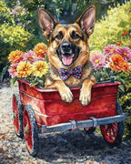 Your Custom Pet Art Kit