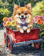 Your Custom Pet Art Kit