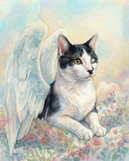 Your Custom Pet Art Kit