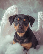Your Custom Pet Art Kit
