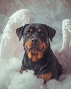 Your Custom Pet Art Kit