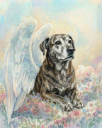 Your Custom Pet Art Kit