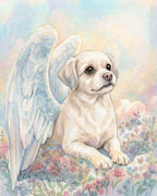 Your Custom Pet Art Kit