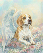 Your Custom Pet Art Kit