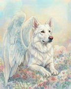 Your Custom Pet Art Kit