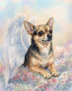 Your Custom Pet Art Kit