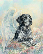 Your Custom Pet Art Kit