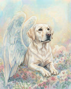 Your Custom Pet Art Kit