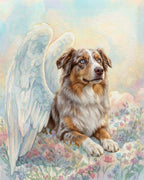 Your Custom Pet Art Kit