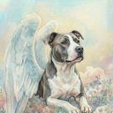 Your Custom Pet Art Kit
