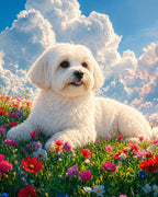 Your Custom Pet Art Kit