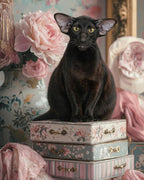 Your Custom Pet Art Kit