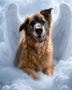 Your Custom Pet Art Kit
