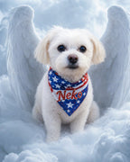 Your Custom Pet Art Kit