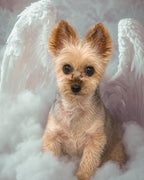 Your Custom Pet Art Kit