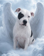 Your Custom Pet Art Kit