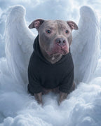 Your Custom Pet Art Kit